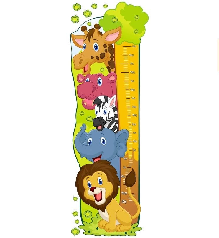 Metr na stěnu - Zoo